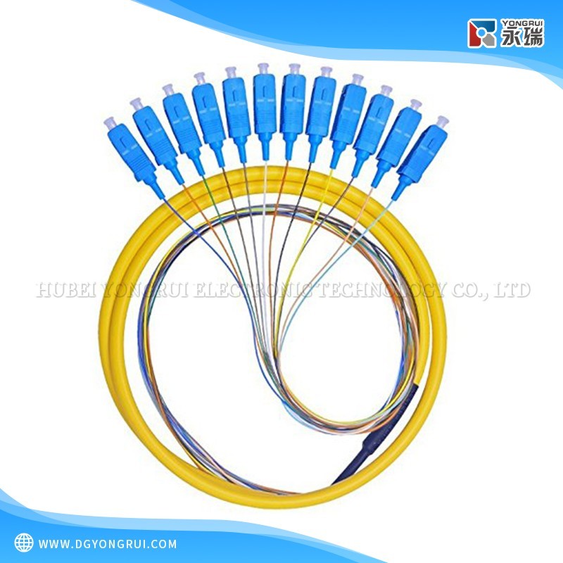 12-Core SC Single-mode Color-coded Fiber Tail