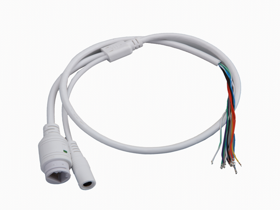 DC5521 F+RJ45 JACK to PH2.0+PH1.25安防线