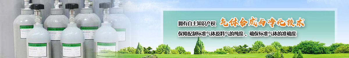 标气 标气