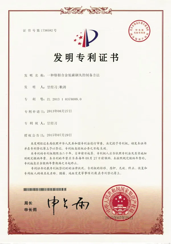 发明专利 发明专利