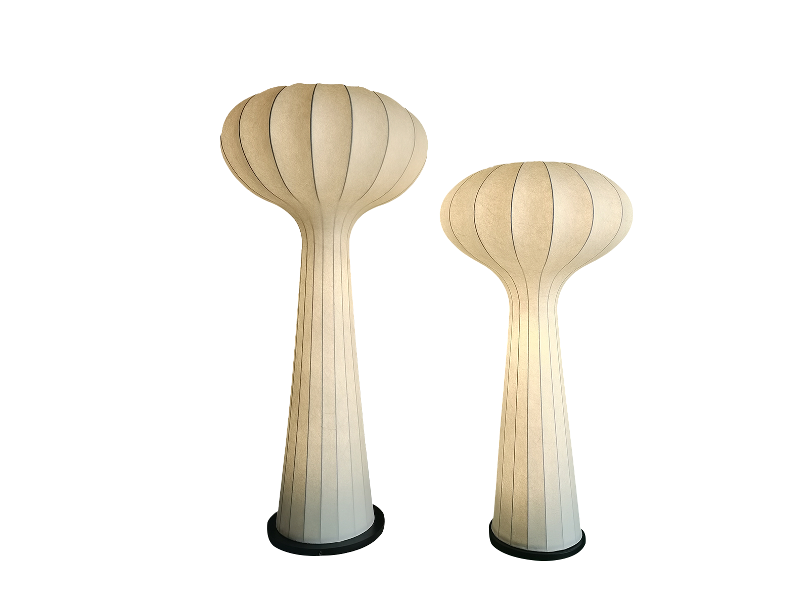 3010  Mushroom