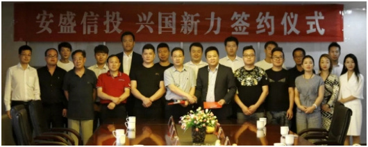 興國新力集團(tuán)
