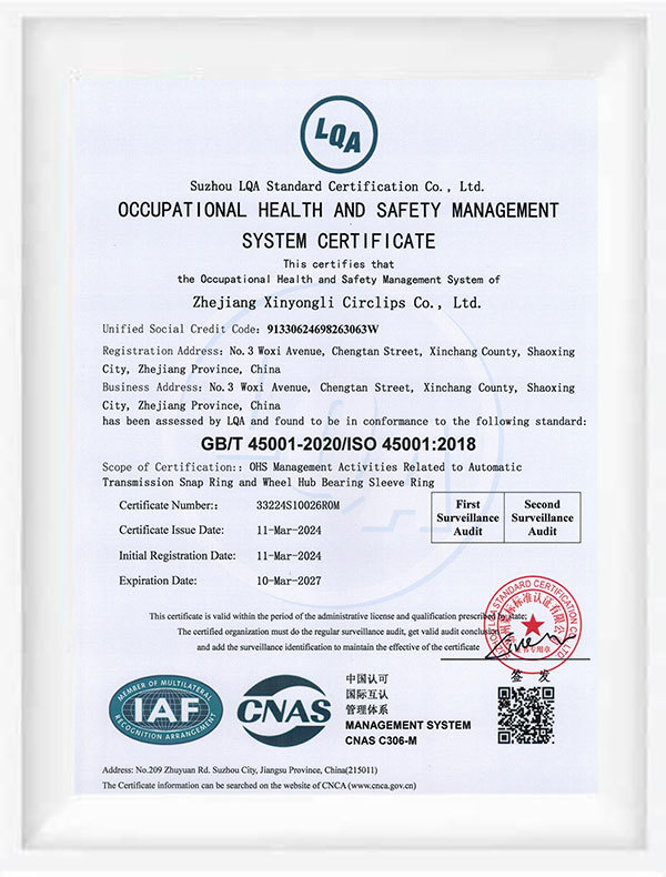 Occupational Health Management System Certification - English