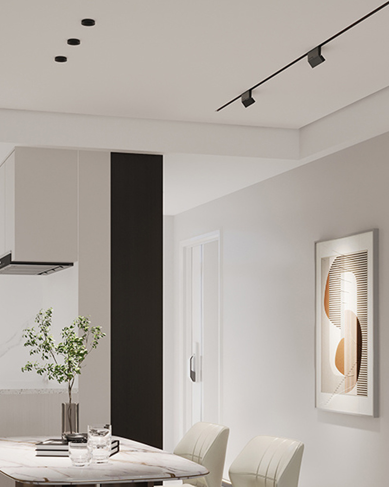Magnetic Track Light