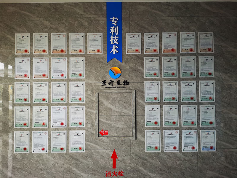 企业掠影