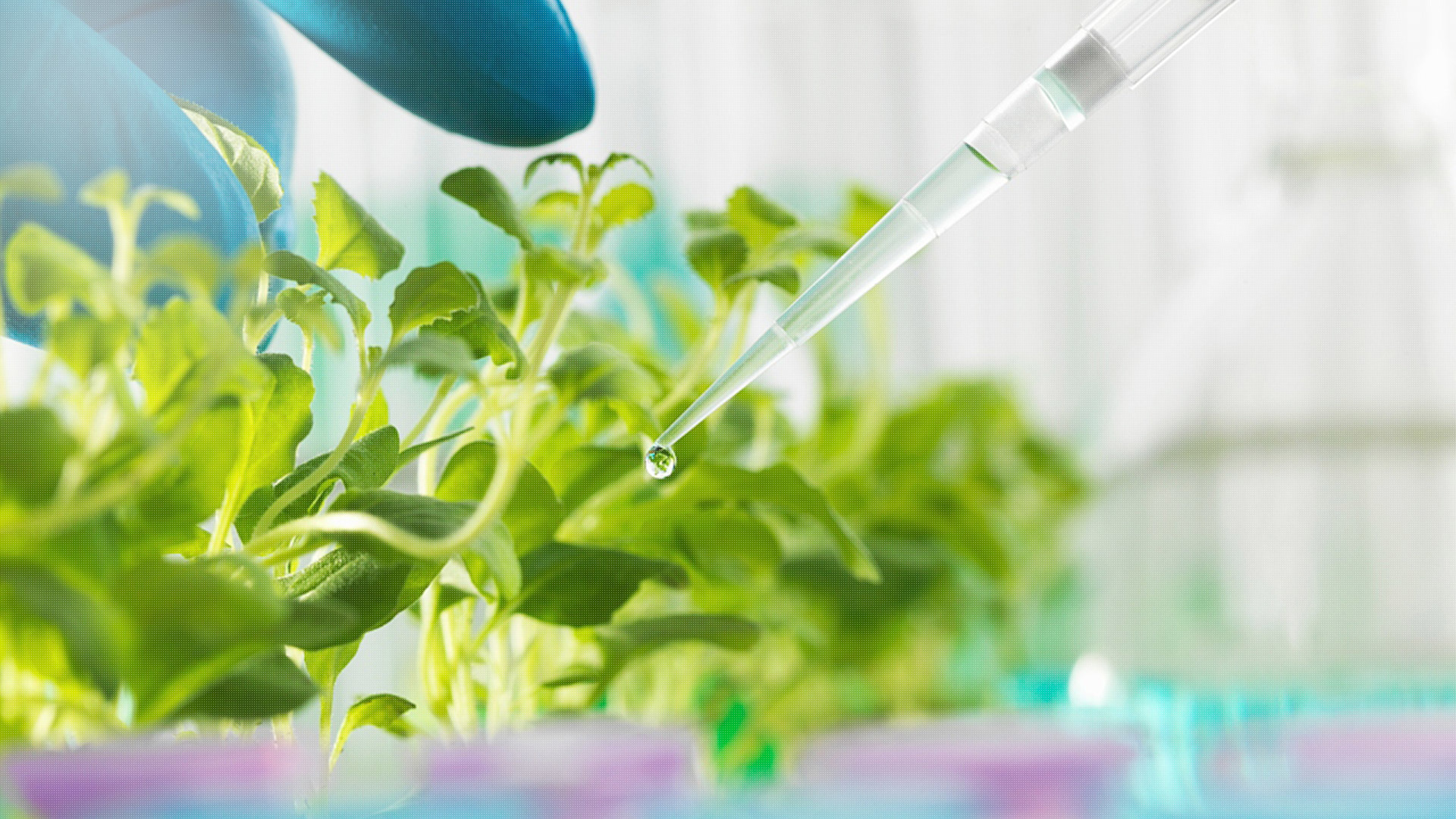 河北兰升生物科技有限公司突发环境事件应急预案公示