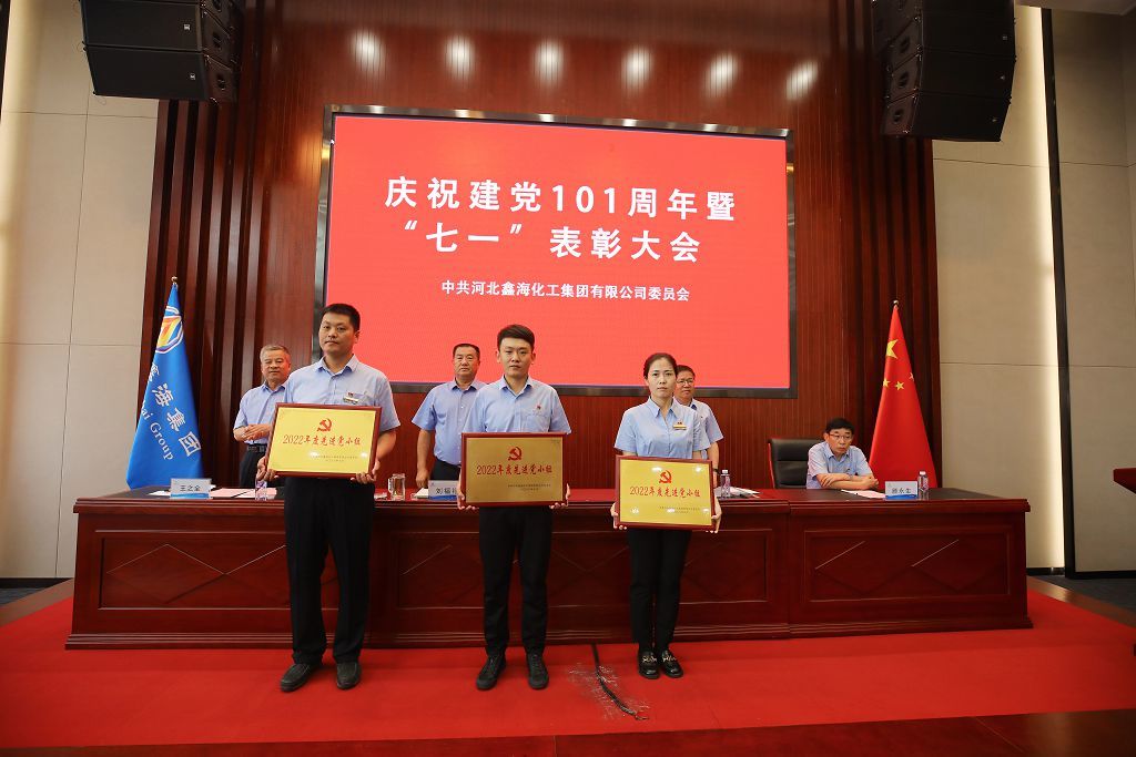 Xinhai Group Party Committee Held a Celebration of the 101 Anniversary of the Founding of the Party and "July 1" Commendation Conference