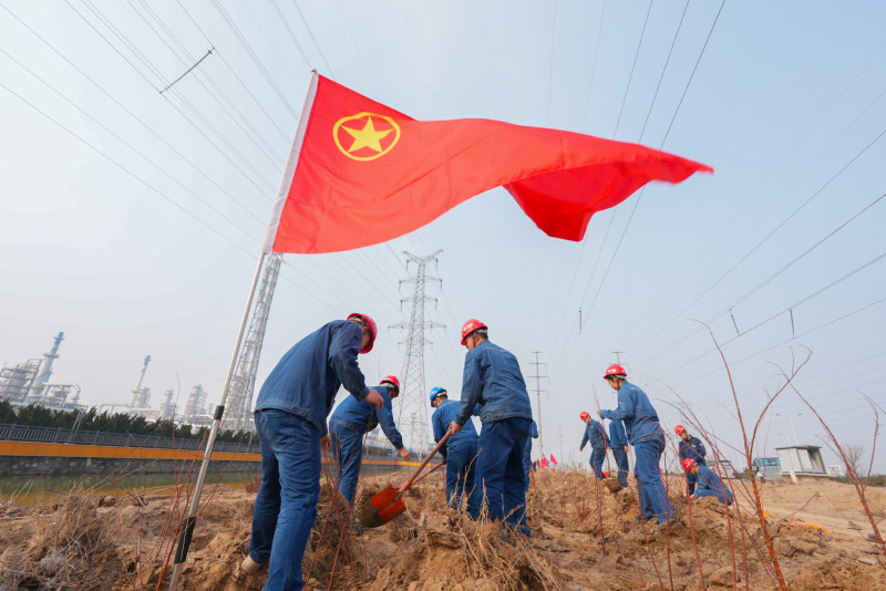 践行绿色低碳理念 塑造鑫海高质量发展新风貌 ——鑫海控股集团开展义务植树活动