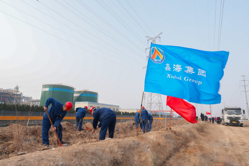 践行绿色低碳理念 塑造鑫海高质量发展新风貌 ——鑫海控股集团开展义务植树活动