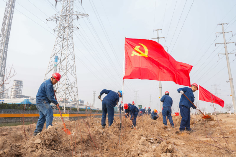践行绿色低碳理念 塑造鑫海高质量发展新风貌 ——鑫海控股集团开展义务植树活动