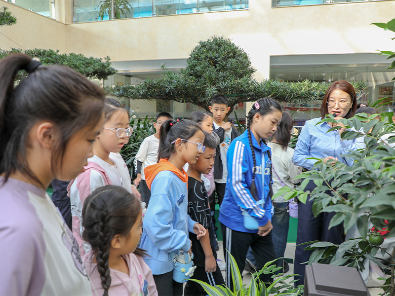 A Beautiful Meeting with Industry | Xinhai Holding Group Organized "Parent-Child Garden" Activities