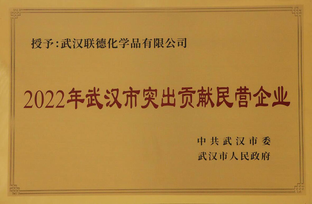 2022年武漢市突出貢獻民營企業