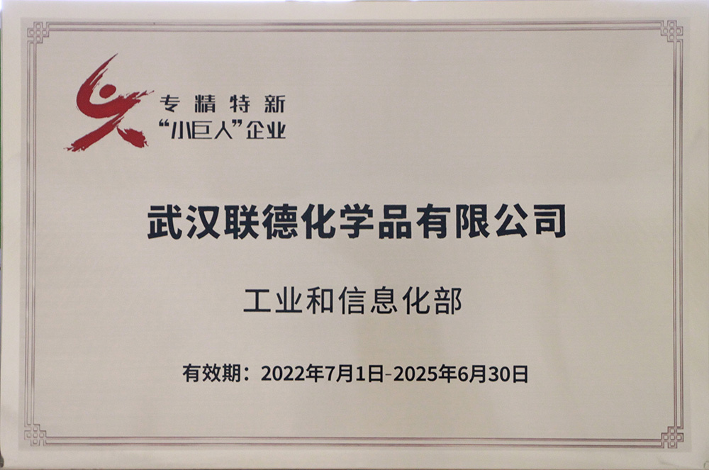 國家專精特新小巨人企業(yè)