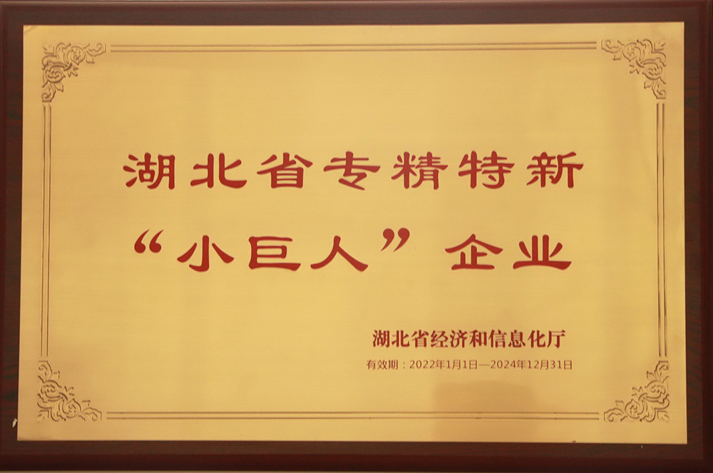 湖北省專精特新小巨人企業(yè)