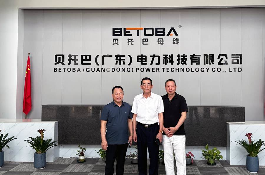 Wang Chenhe - the father of China's magnetic energy and a (lifetime) academician of the World Academy of Productivity Sciences visited our company for technical guidance