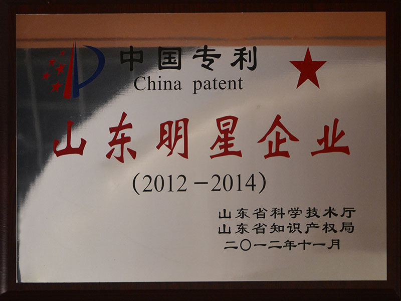 中国专利山东明星企业