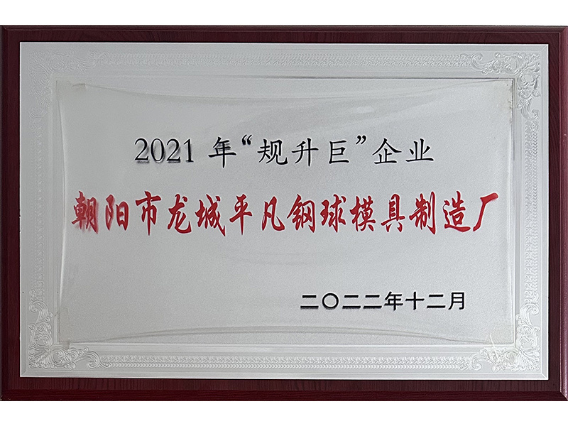 2021年“规升巨”企业 2021年“规升巨”企业