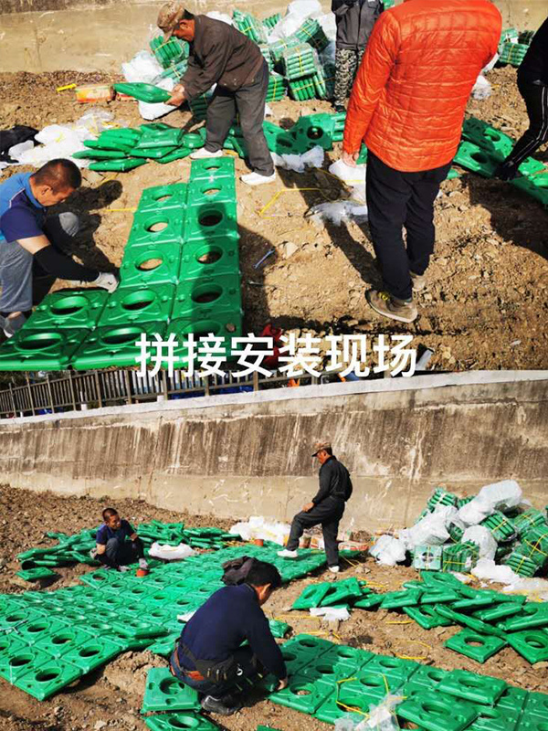 安圖生態(tài)水利工程治理與施工技術(shù)研究課題河流污水治理工程項(xiàng)目
