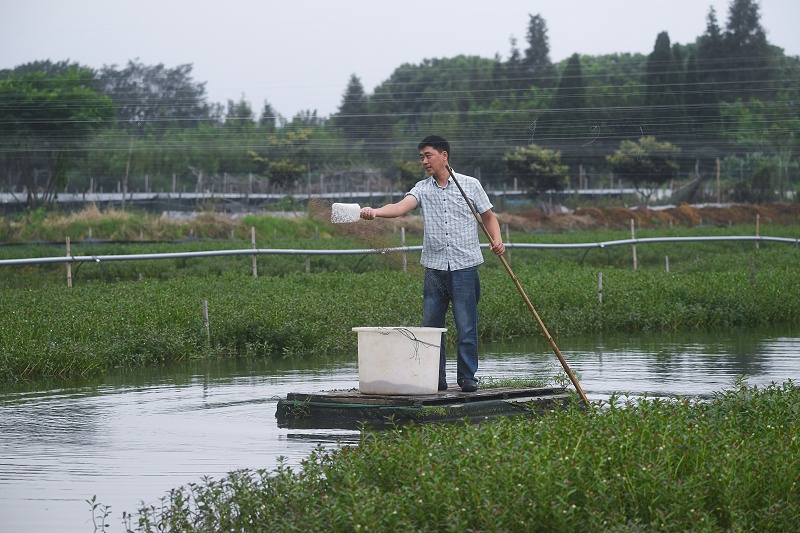 水产养殖专用红糖