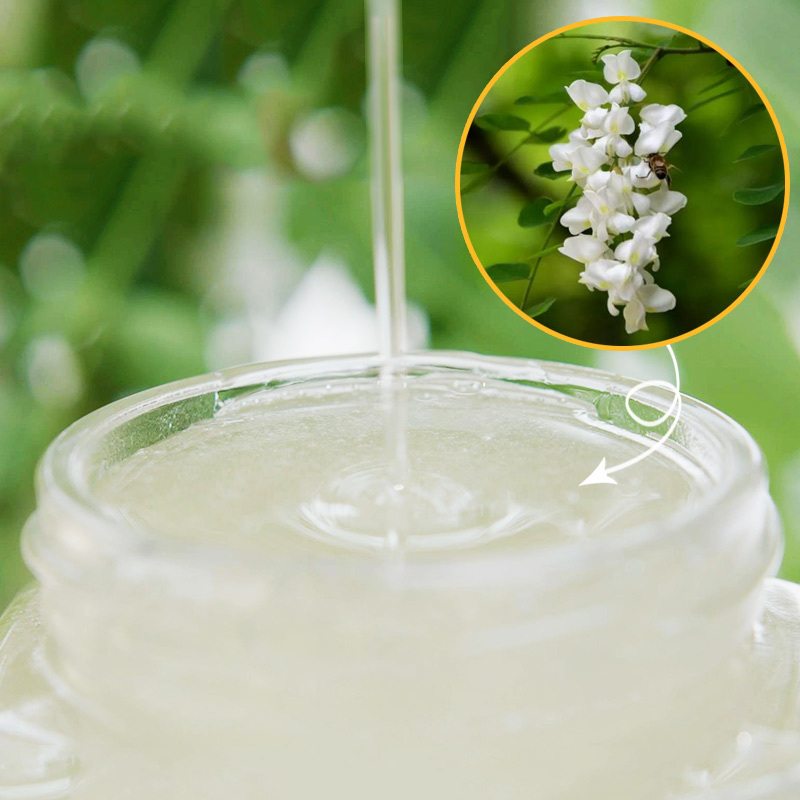 Acacia Honey