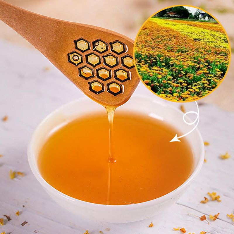 Polyflora Honey