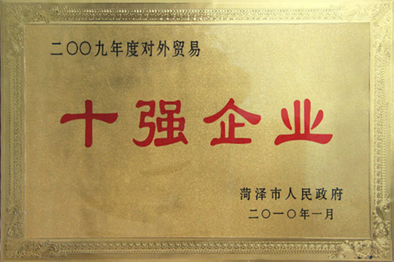 2009年度对外贸易十强企业