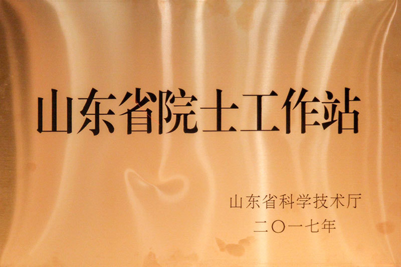 山东省院士工作站 山东省院士工作站