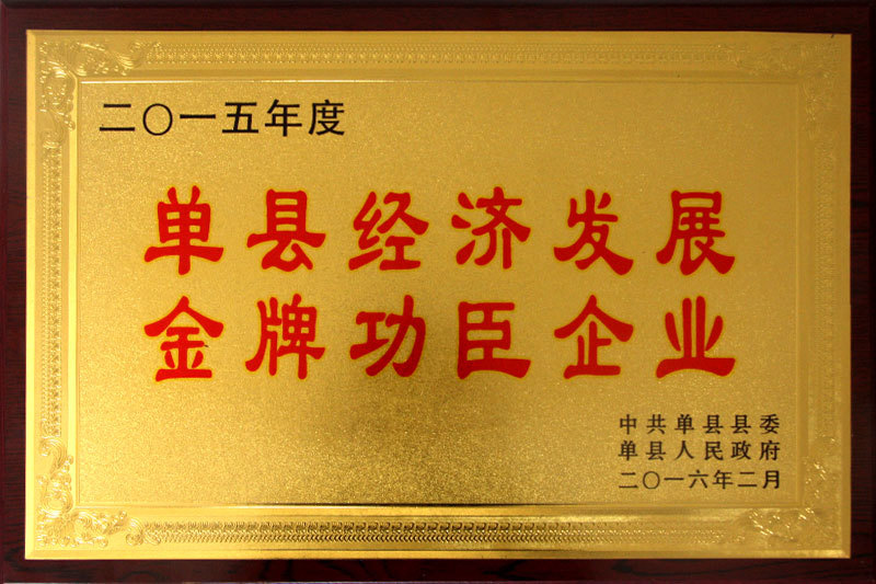 单县经济发展金牌功臣企业