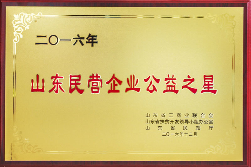 山东民营企业公益之星 山东民营企业公益之星