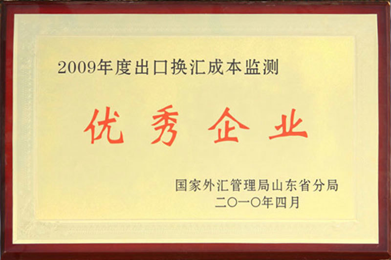 2009年度出口换汇成本监测优秀企业 2009年度出口换汇成本监测优秀企业