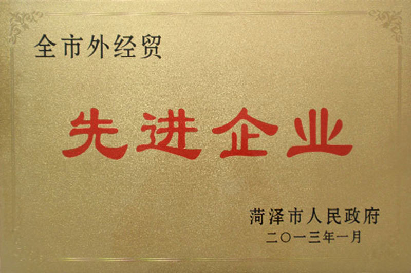 全市外经贸先进企业