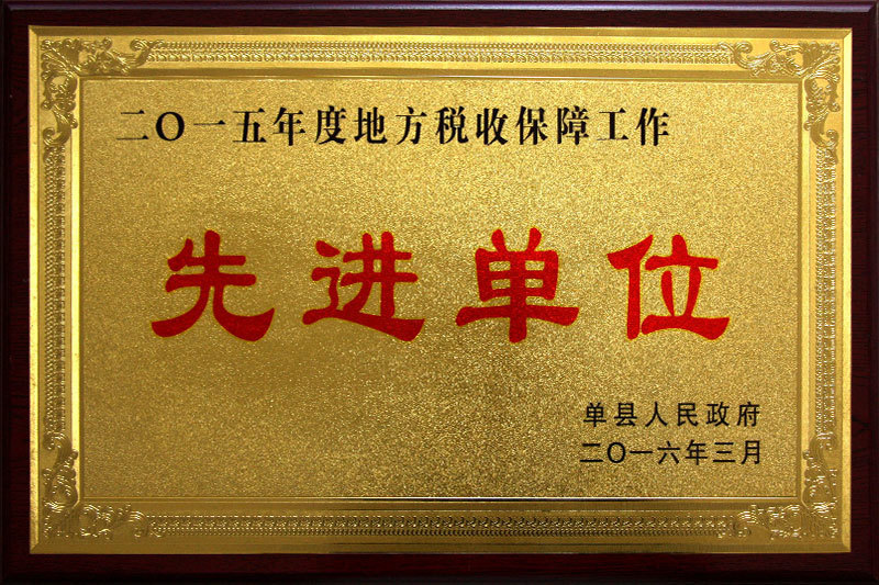 2015年度地方税收保障工作先进单位