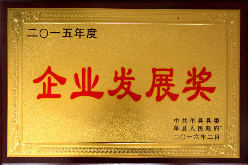 2015年度企业发展奖
