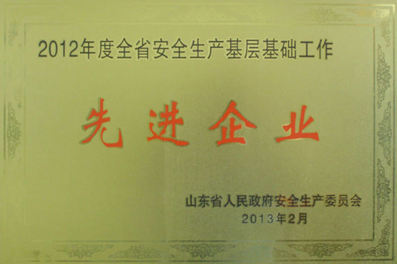 山东省安全文化建设示范企业 山东省安全文化建设示范企业