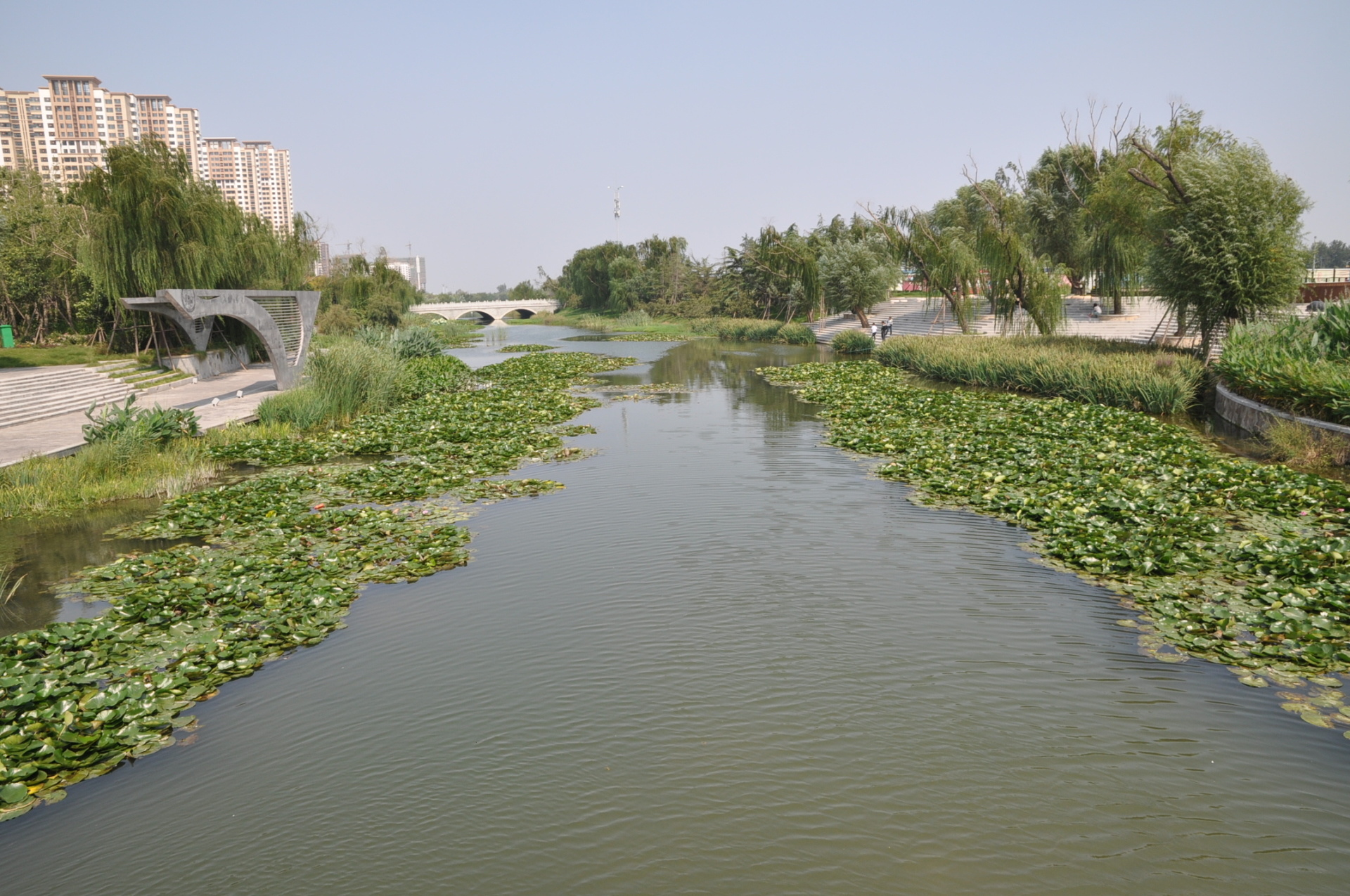 海綿城市