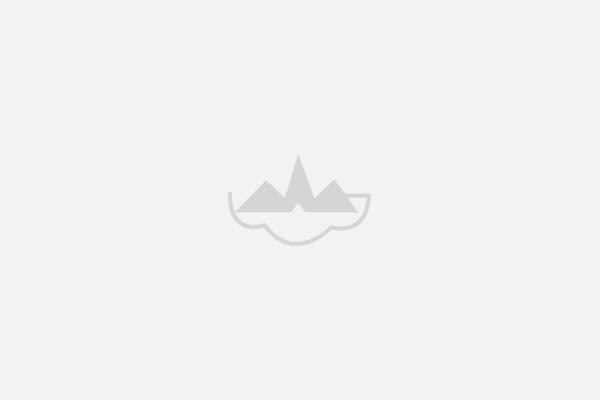 Ningbo Wanjia Electrical Appliance Co., Ltd.