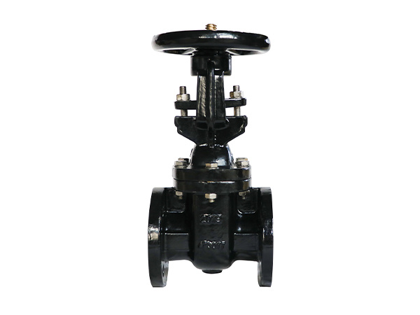 Class 125 Outside Screw & Yoke Gate Valve GV-04
