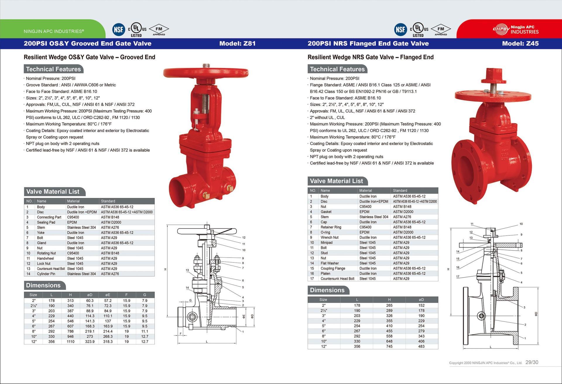 200 PSI NRS Flange Gate