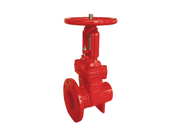 200 PSI OSY FLANGE and GROOVE GATE