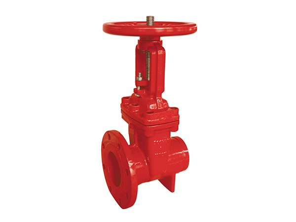 200 PSI OSY FLANGE and GROOVE GATE