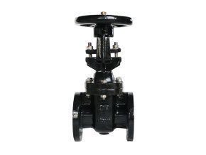 Class 250 NRS Flanged Gate Valve