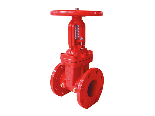 200 PSI OSY FLANGE GATE