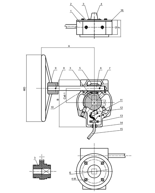 11