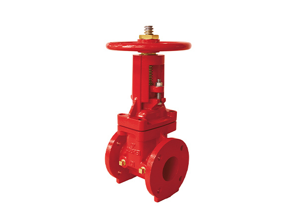 300PSI 明杆法兰闸阀