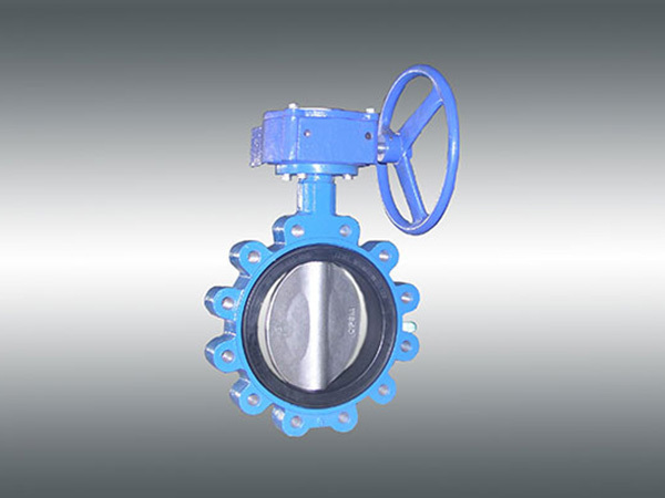 LT butterfly valve
