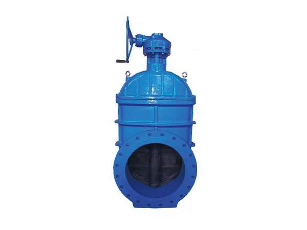 NRS Gate Valves