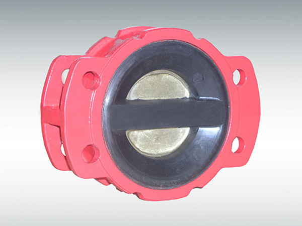 Check valve