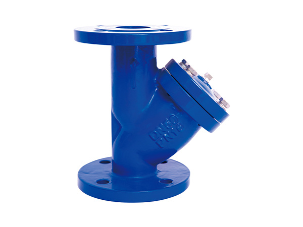 Y-strainer