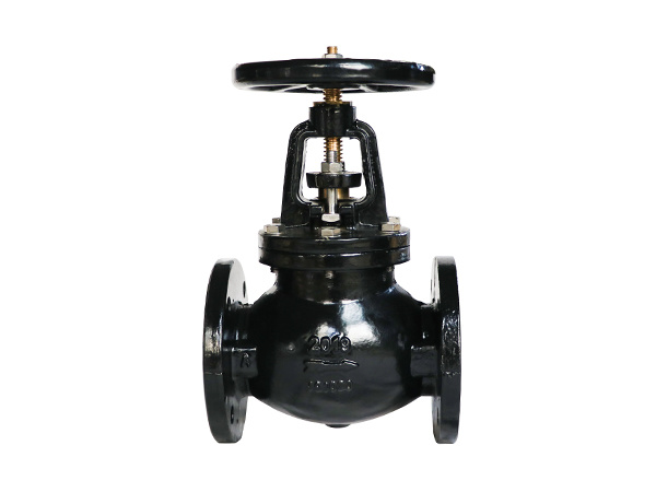 Class 250 Flanged Globe Valve