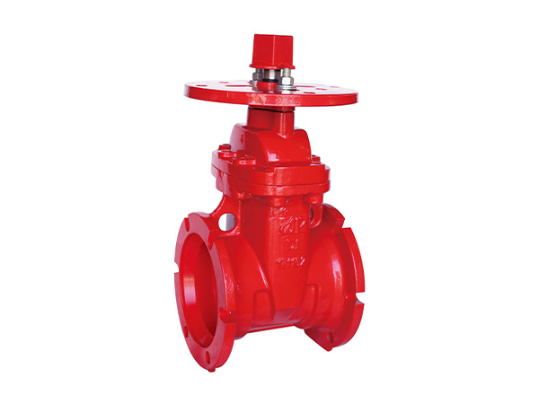 300PSI 暗杆机械闸阀